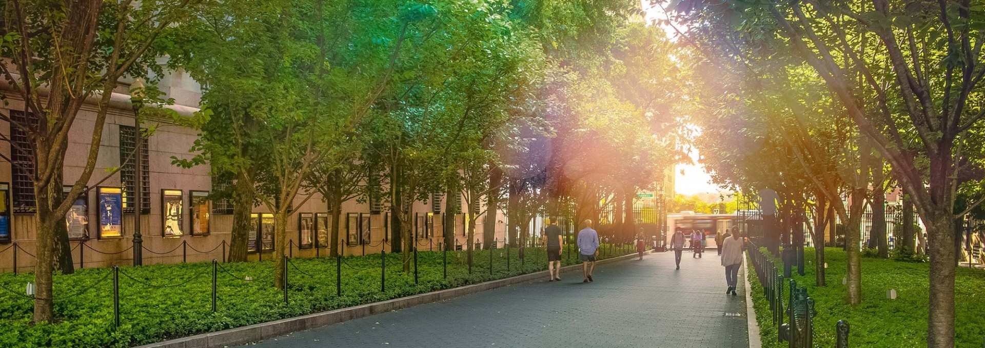 Sunlight streaming down on College Walk